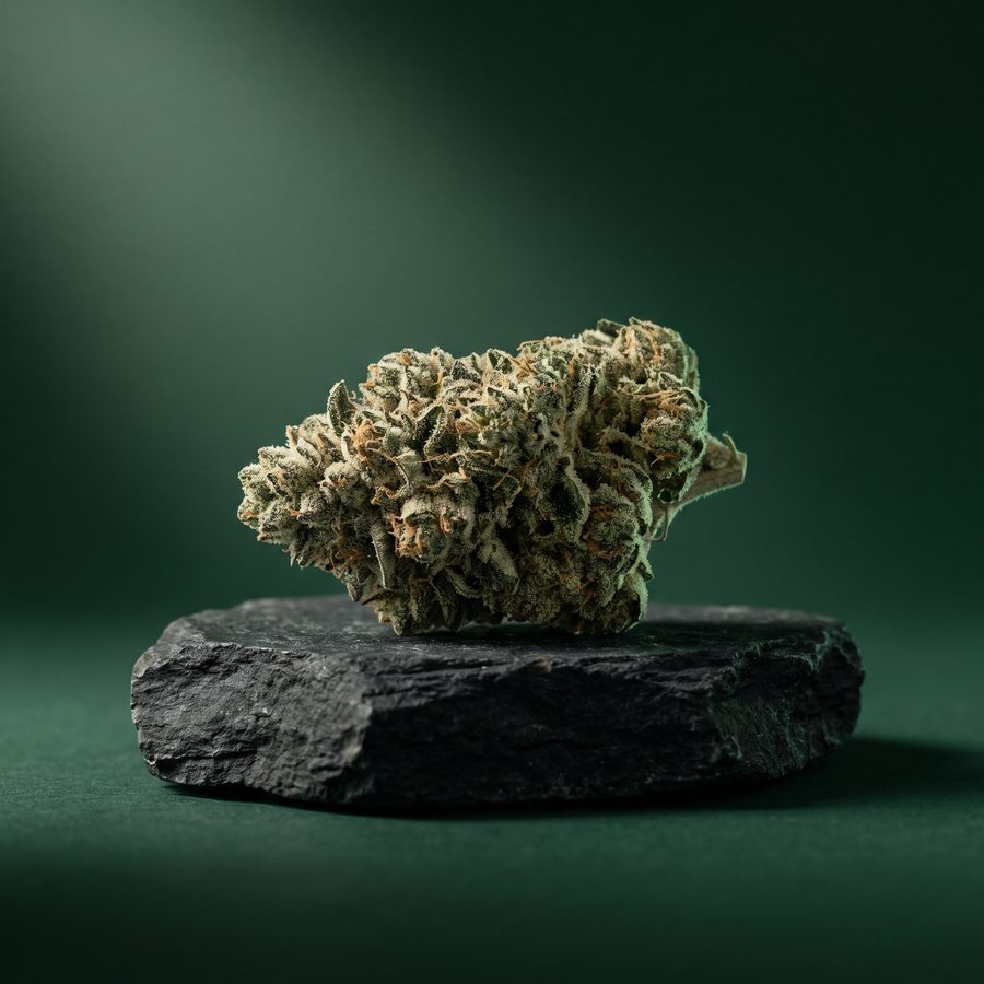Flower on display at Georgetown Dispensary